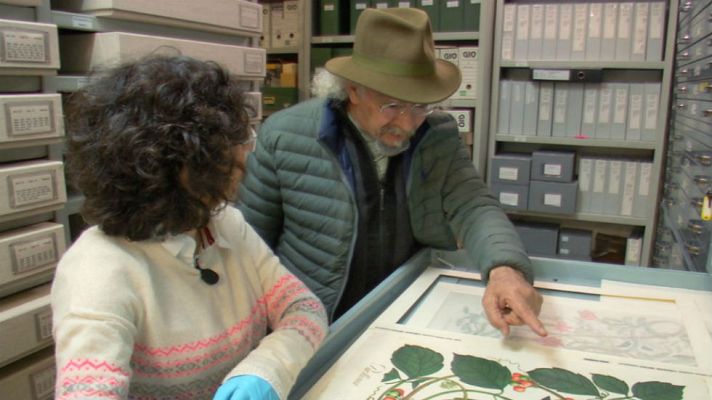 Aquí la Tierra - Las plantas que vinieron