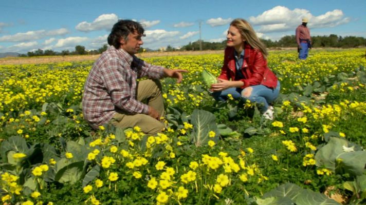Aquí la Tierra - Huerta valenciana, mucho más que cítricos