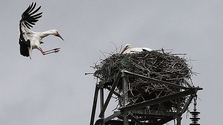 El tiempo - Soleado en casi toda España y subida generalizada de las temperaturas