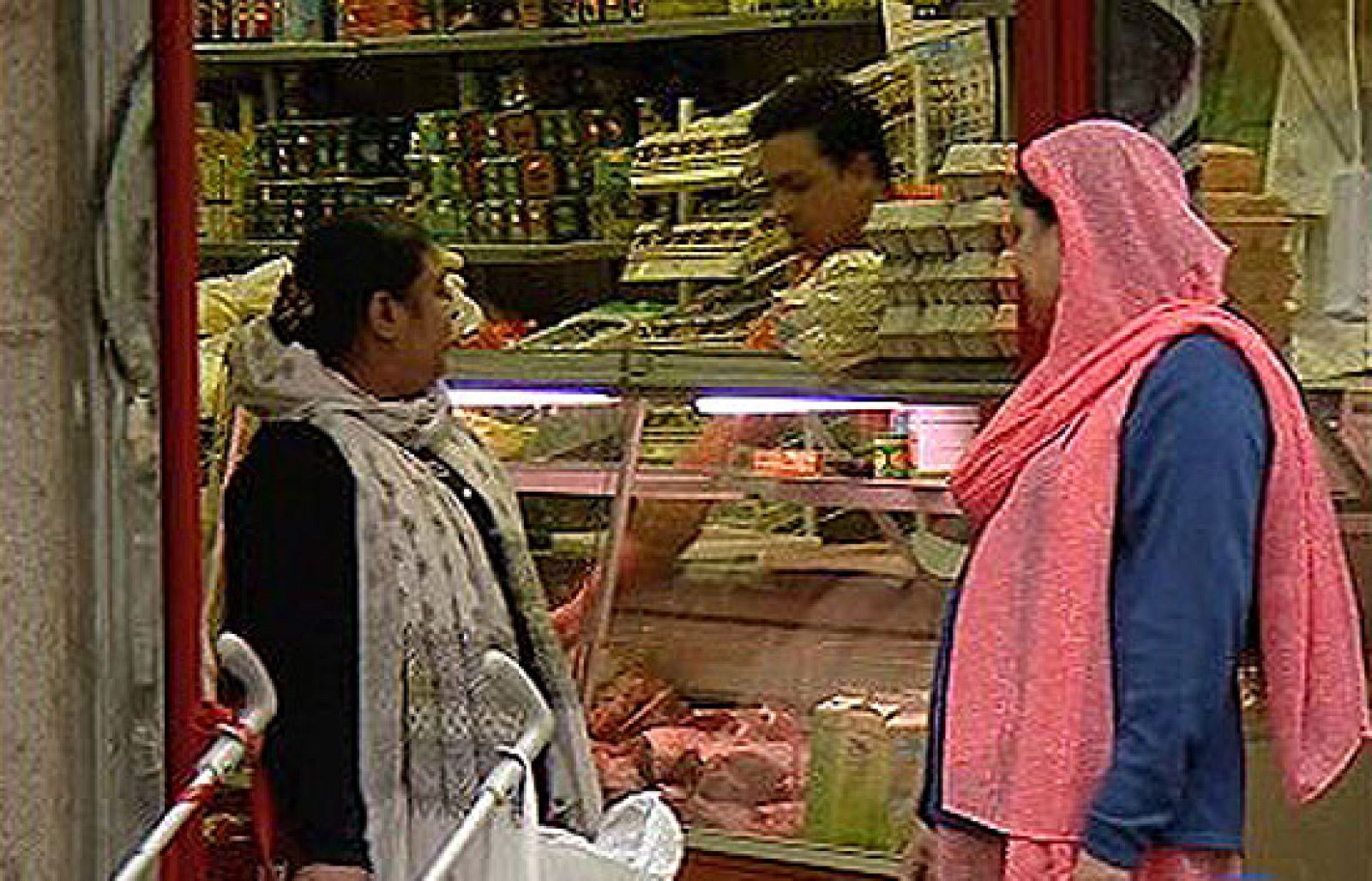 Día mundial contra el Racismo | Ver