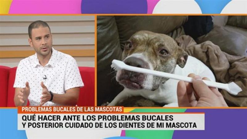 Cerca de ti - 27/03/2018