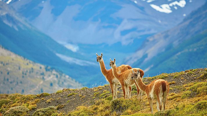 Grandes documentales - Patagonia salvaje: Montañas de fuego