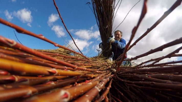 Aquí la Tierra - Mimbre de colores