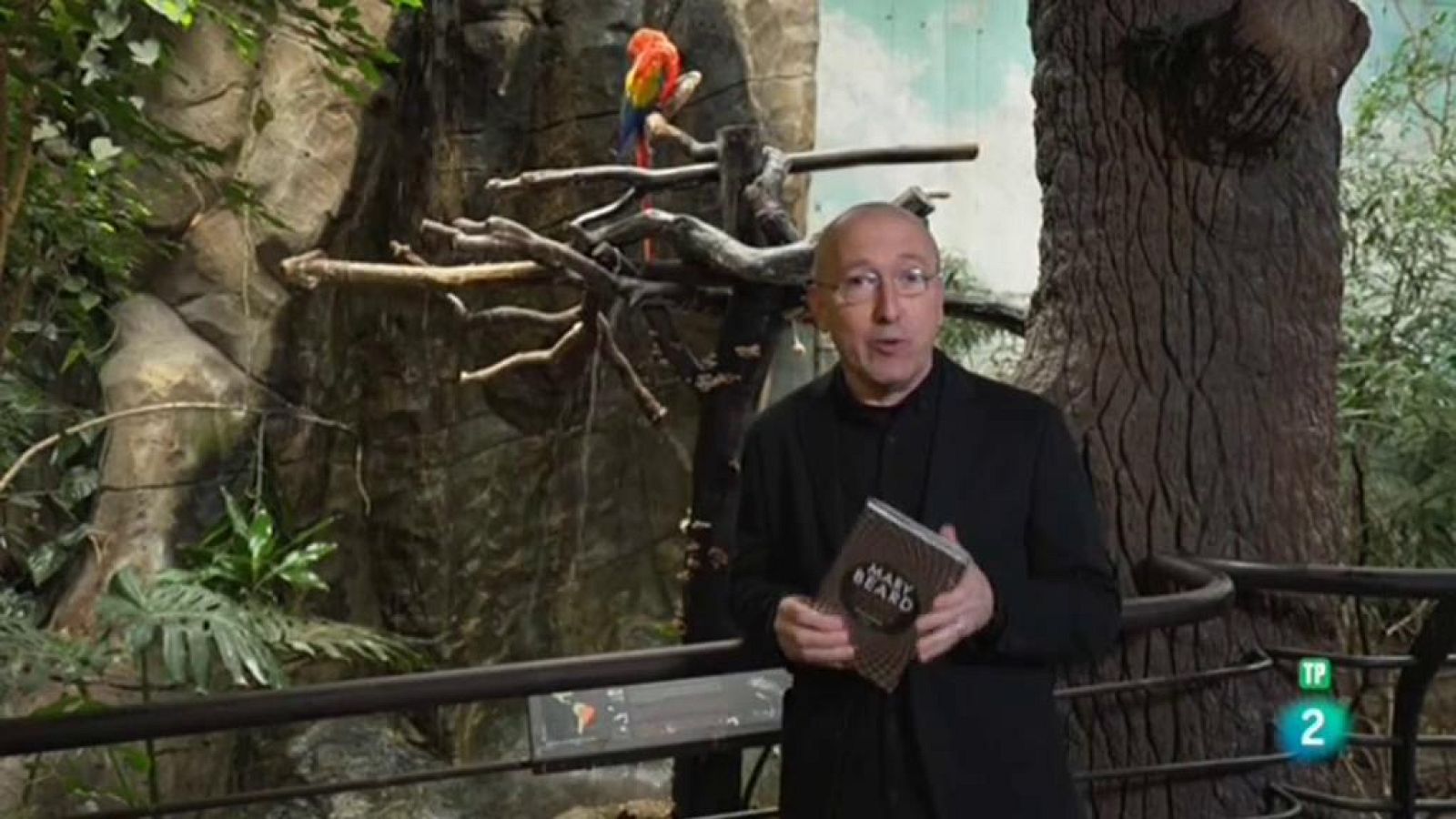 Página Dos - Recomendaciones - Mujeres y poder. Un manifiesto, En el cuarto oscuro, La catedral y el niño