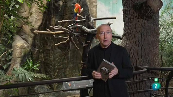 Página Dos - Mujeres y poder, En el cuarto oscuro, La catedral y el niño