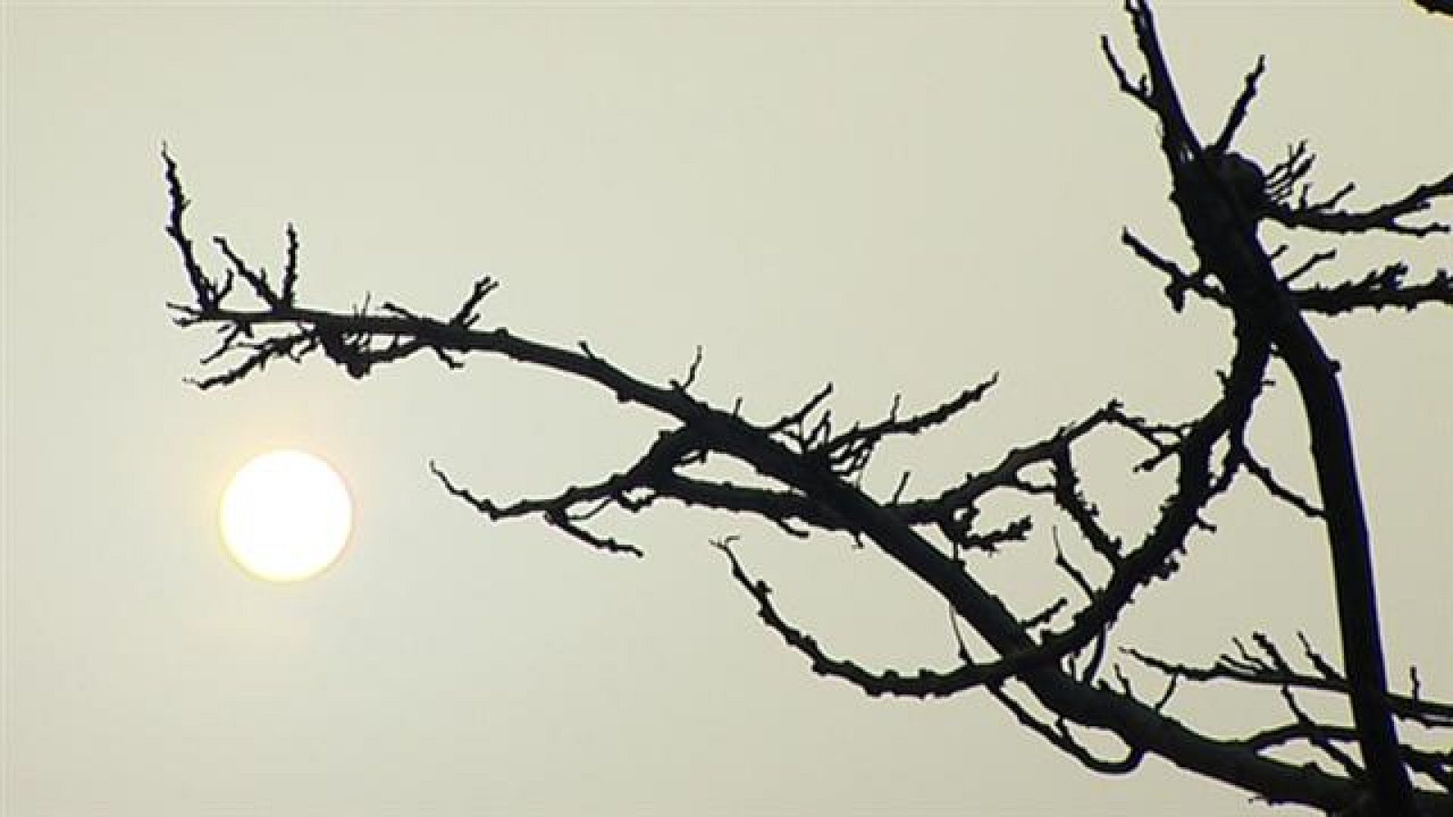 Telecanarias - 28/03/2018