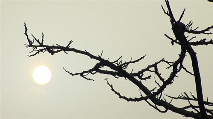 Telecanarias - Telecanarias - 28/03/2018