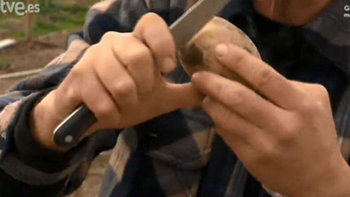 Aquí la Tierra - ¿Fue primero la patata o la patata?