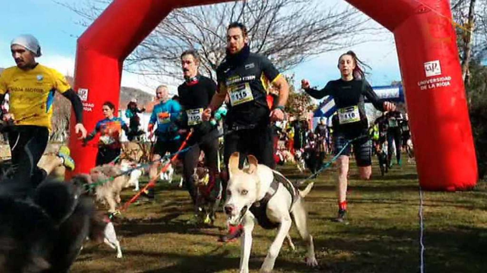 Canicross Demanda Xtrem 2018 - ver ahora