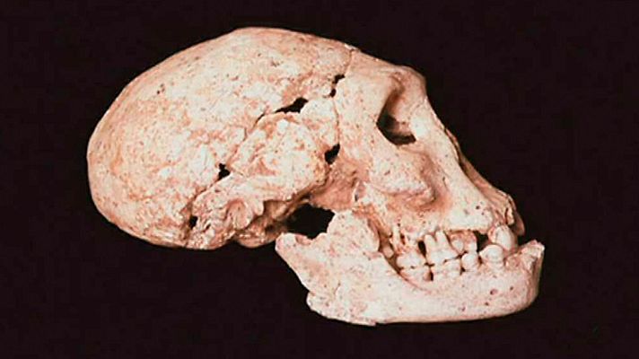 Documaster - La España prehistórica. Primera parte