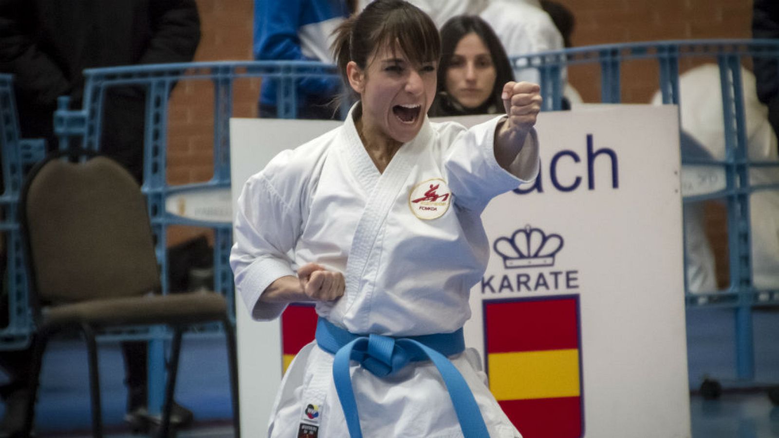 Campeonato de España Absoluto de Kárate. 24 y 25 de marzo 2018 - Kárate | Ver