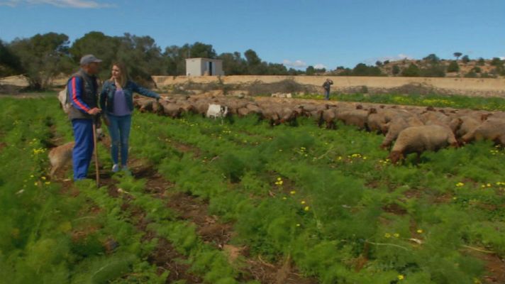 Aquí la Tierra - Visitamos la única ganadería de raza Guirra