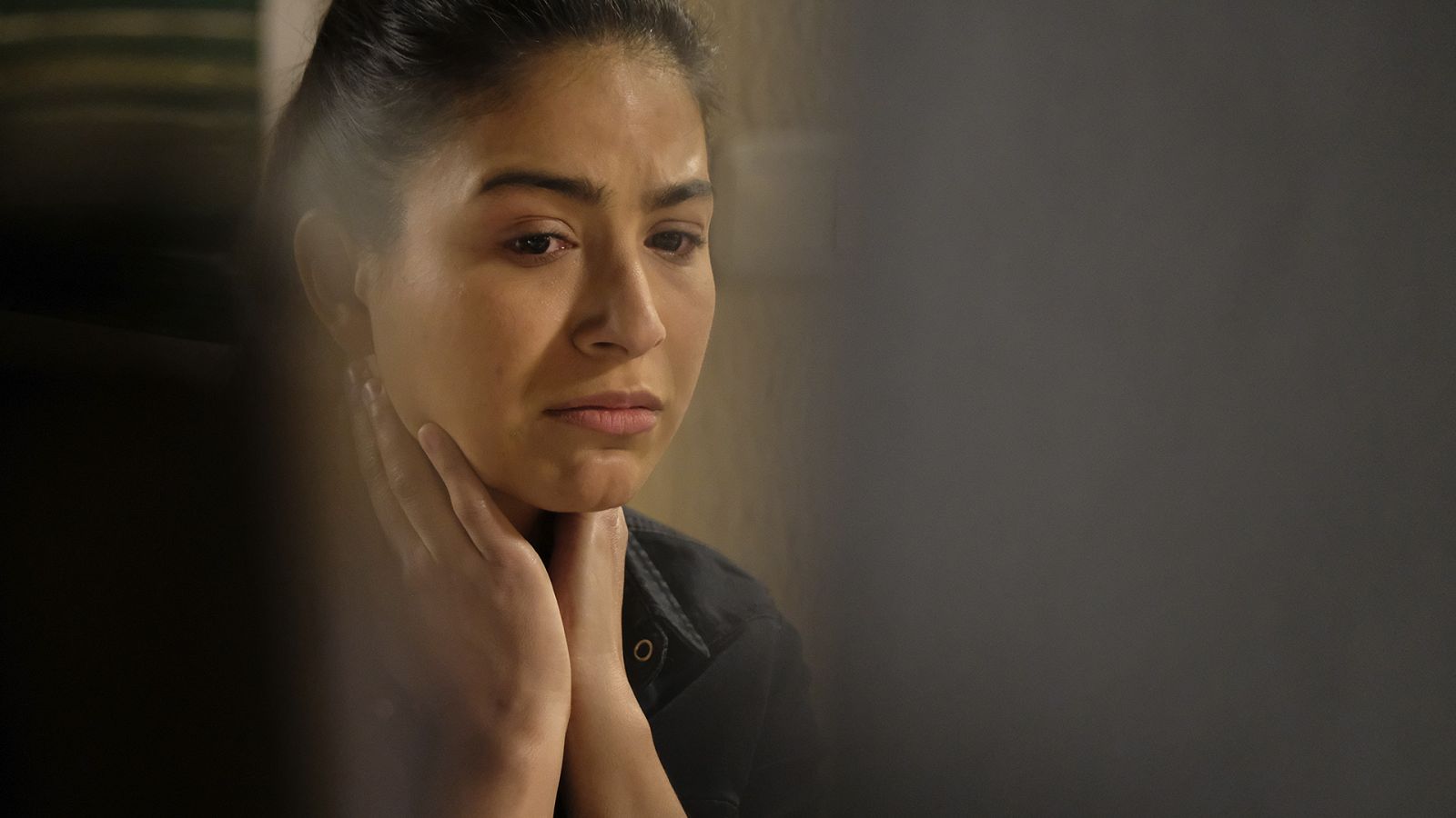 Servir y proteger - Episodio 232 - Ver ahora