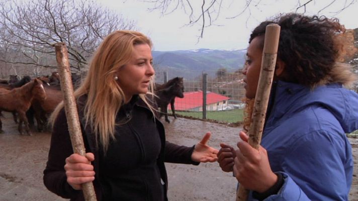 Aquí la Tierra - Yeguas salvajes en Cantabria