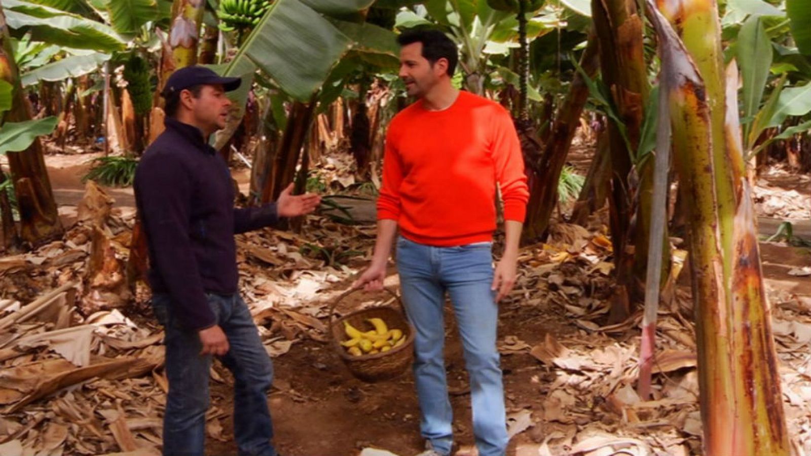 Cómo se debe pelar un plátano