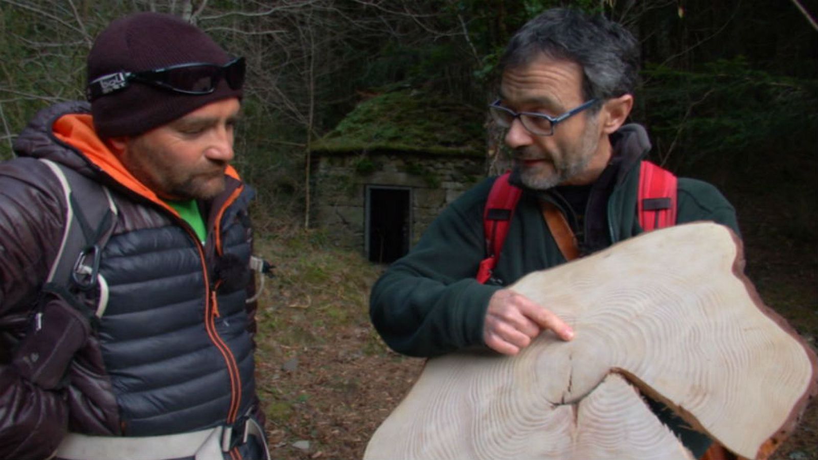 La memoria de los árboles