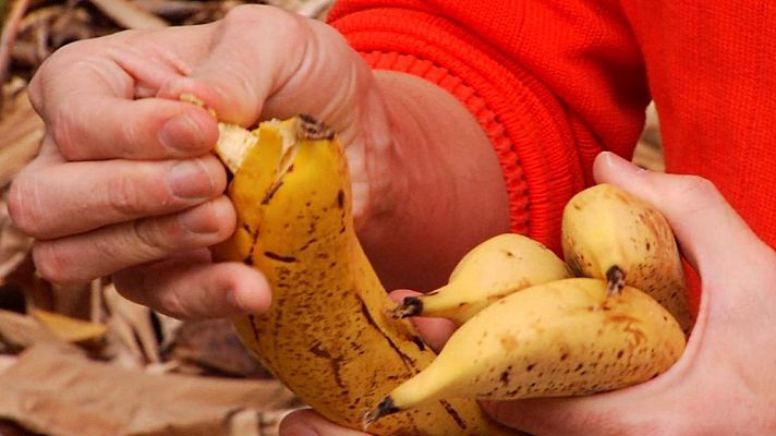 Aquí la Tierra - Aquí la Tierra - 06/04/18