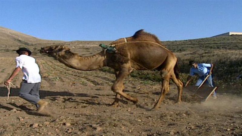 Senderos Isleos - Camelleros