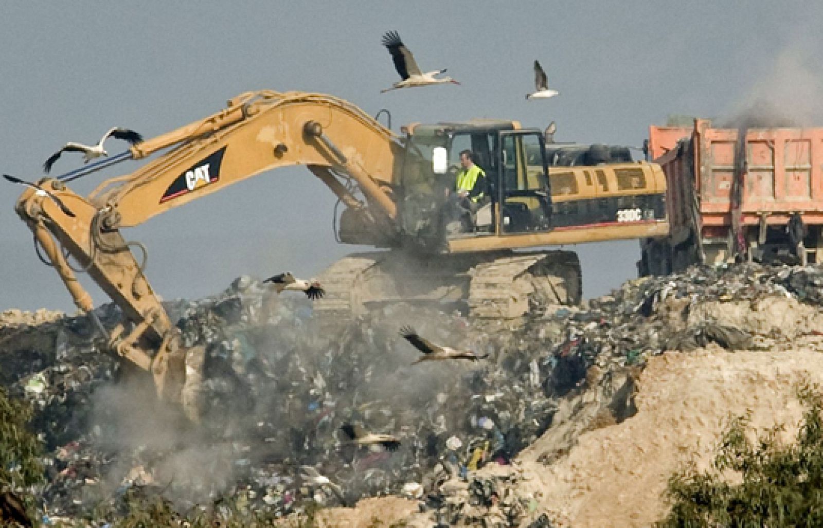 En Sevilla, se ha reanudado la búsqueda del cuerpo de Marta del Castillo | Ver