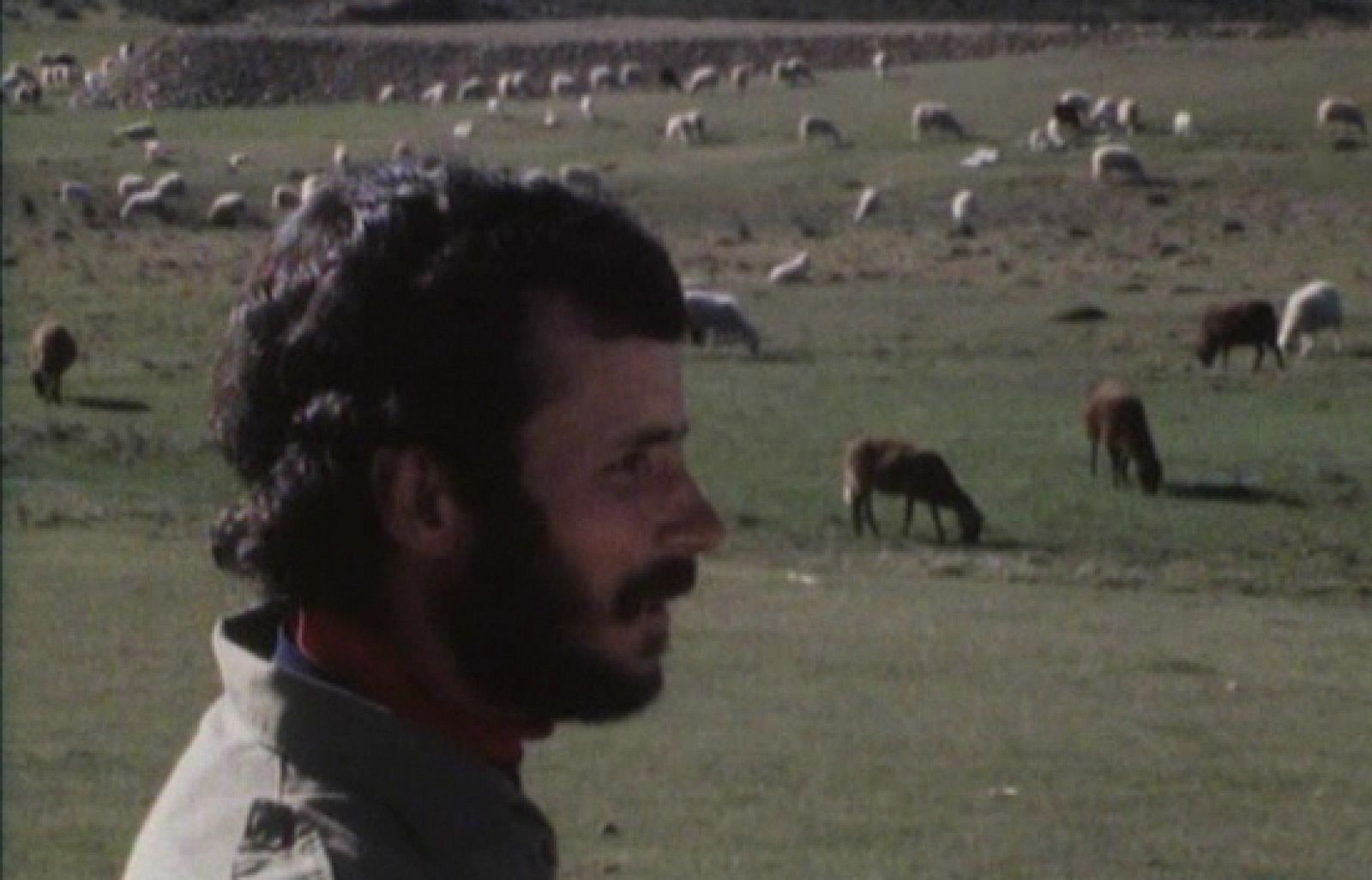 ¿Te acuerdas? - Un fenómeno que parece imparable en estos momentos es el despoblamiento del medio rural - ¿Te acuerdas? | Ver