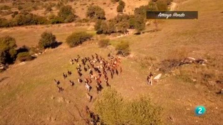 Las rutas Capone - Roberto aprende a manejar las cabras con la honda