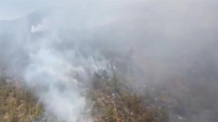 Telecanarias - Telecanarias - 09/04/2018