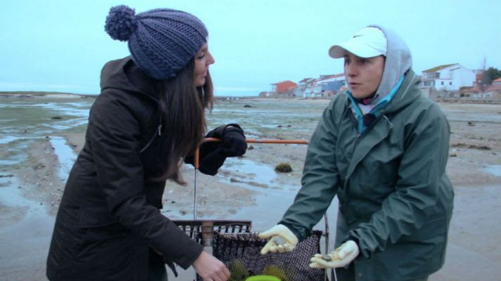 Aquí la Tierra - La siembra de las almejas