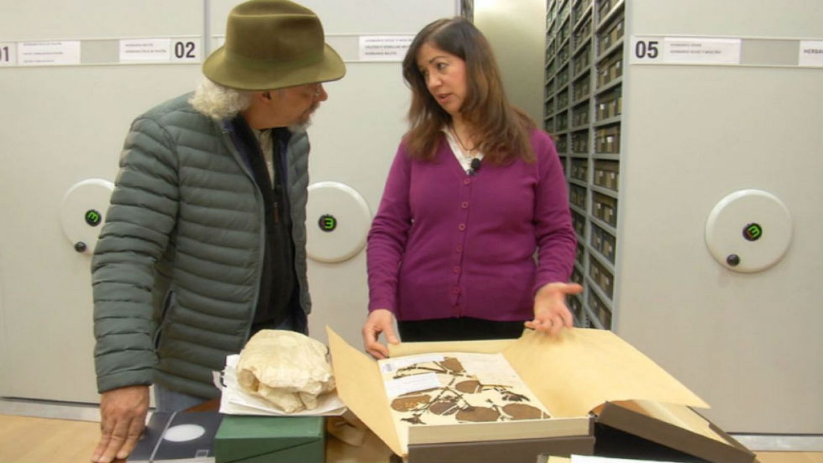 Plantas que son historia