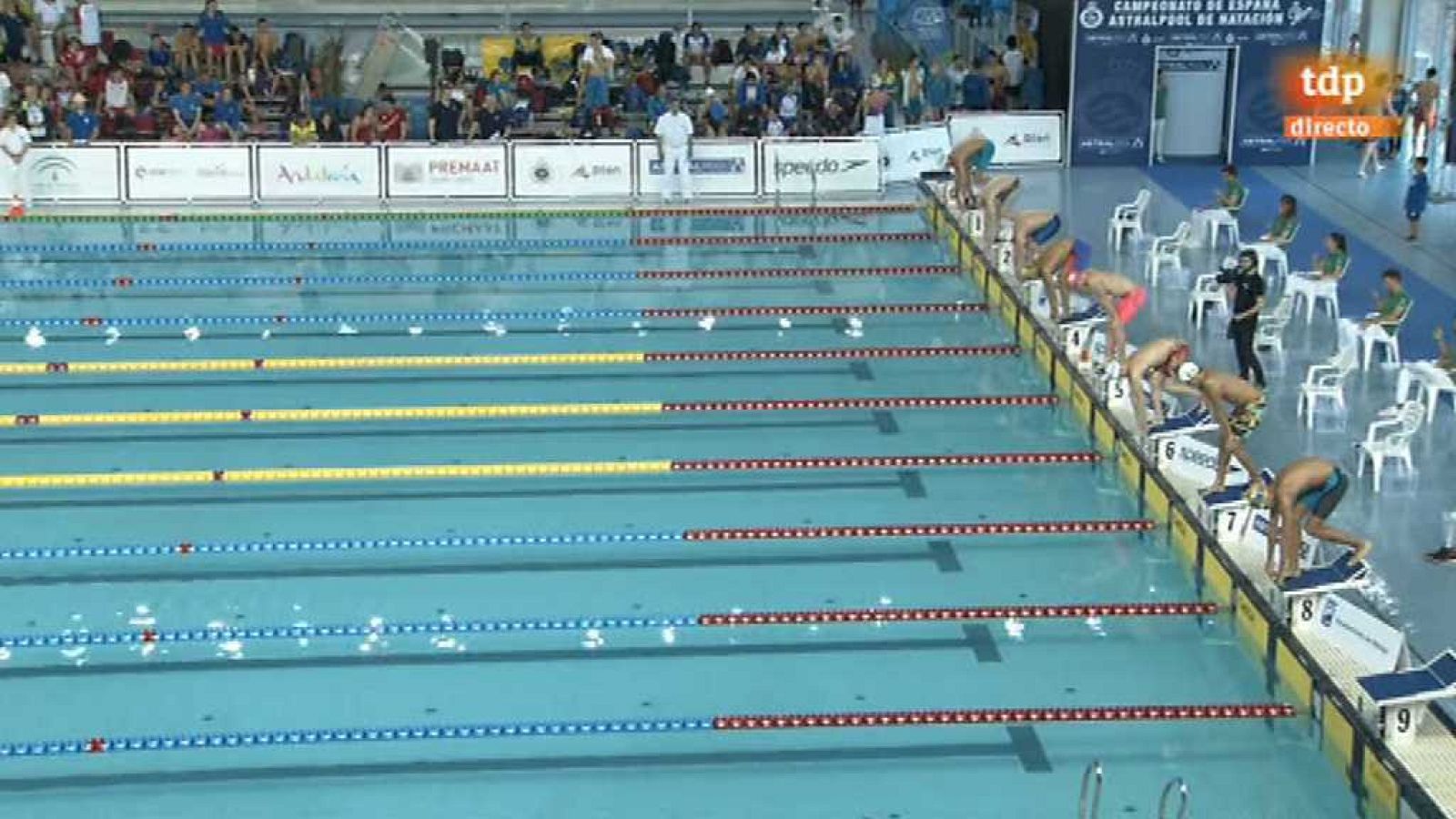 Natación - Campeonato de España Absoluto 'Open Primavera' Semifinales y Finales - 10/04/18 - ver ahora