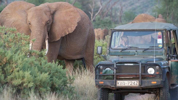 Otros documentales - Esta vida salvaje, capítulo 11