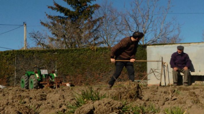Aquí la Tierra - Medidas exactas en la huerta de Avelino
