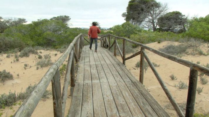 Aquí la Tierra - El Pinet, reserva botánica
