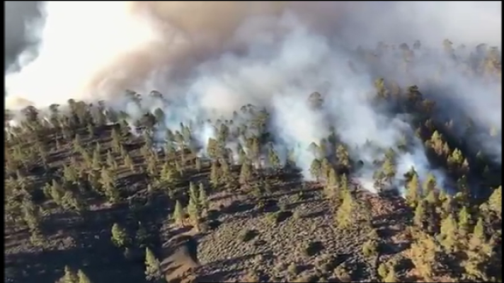 Telecanarias - Telecanarias 2 - 10/04/2018