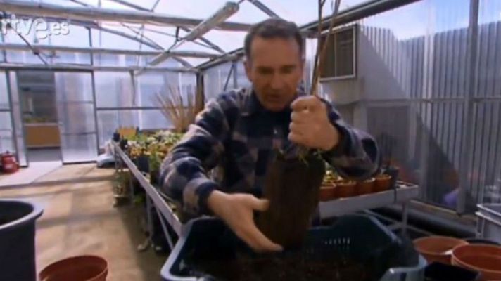 Aquí la Tierra - Llena tu huerta de frutos rojos