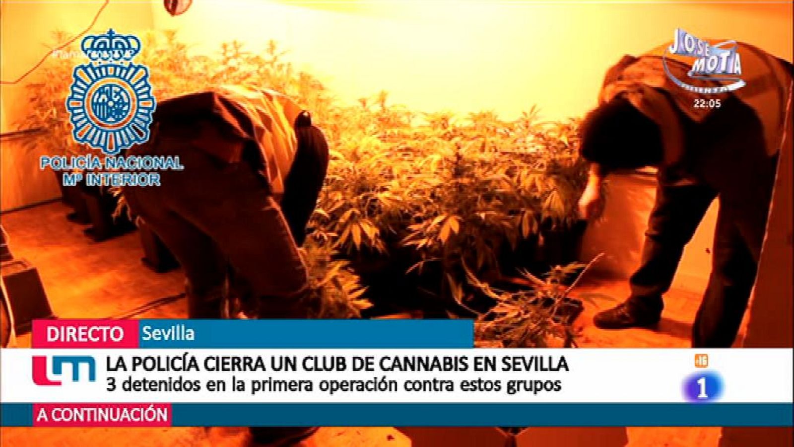 Clubes de cannabis, ¿legales?