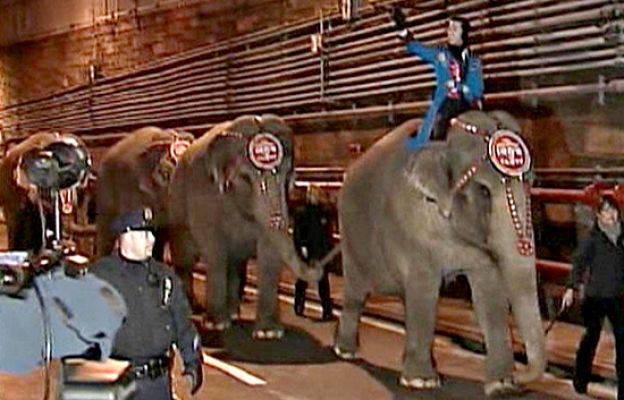  - Marcha de elefantes por Nueva York
