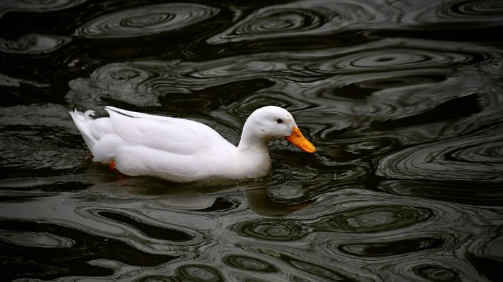 Informativo de Madrid - Informativo de Madrid 2 - 13/04/18