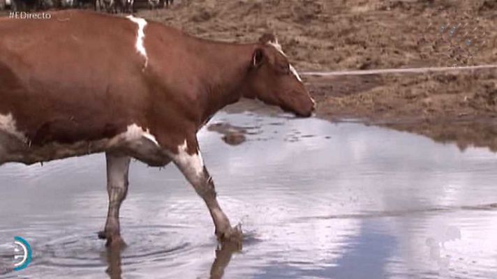 España Directo - España Directo - 13/04/18