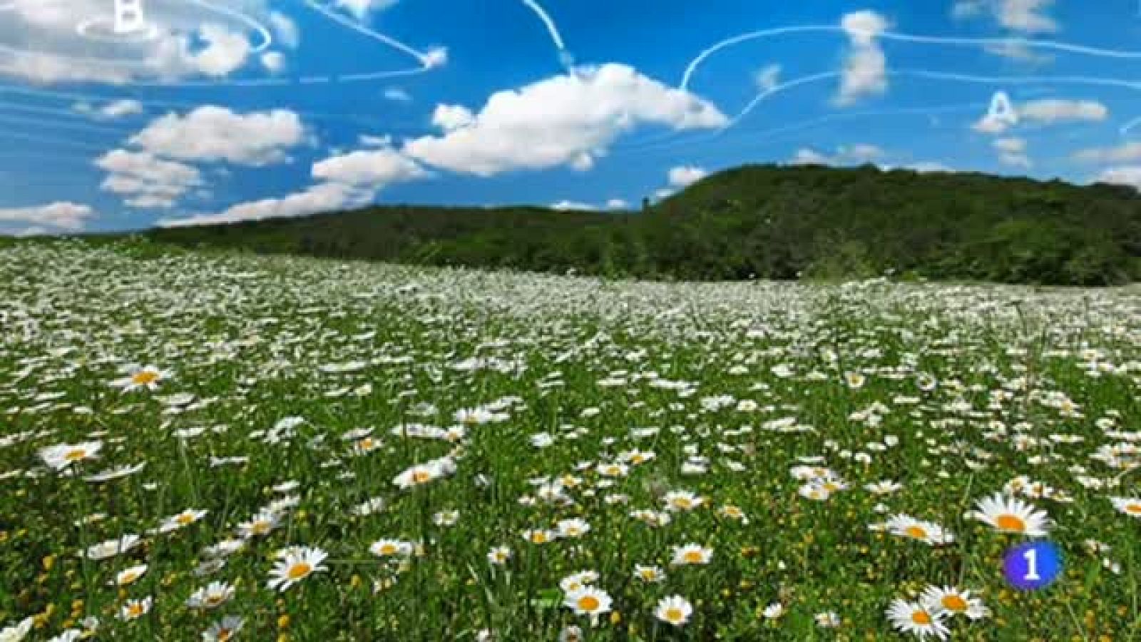 Un fin de semana más estable