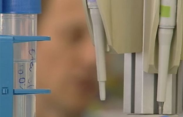 Ciencia y tecnología en Rtve.es - Prueba de paternidad