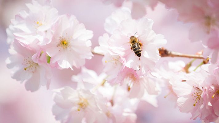 Informativo de Madrid - El Tiempo en la Comunidad de Madrid - 16/04/18
