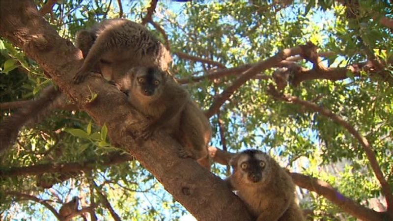 La Comunidad Valenciana en 2' - 17/04/18 - ver ahora