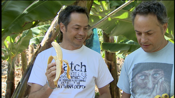 Telecanarias - Telecanarias 2 - 17/04/2018