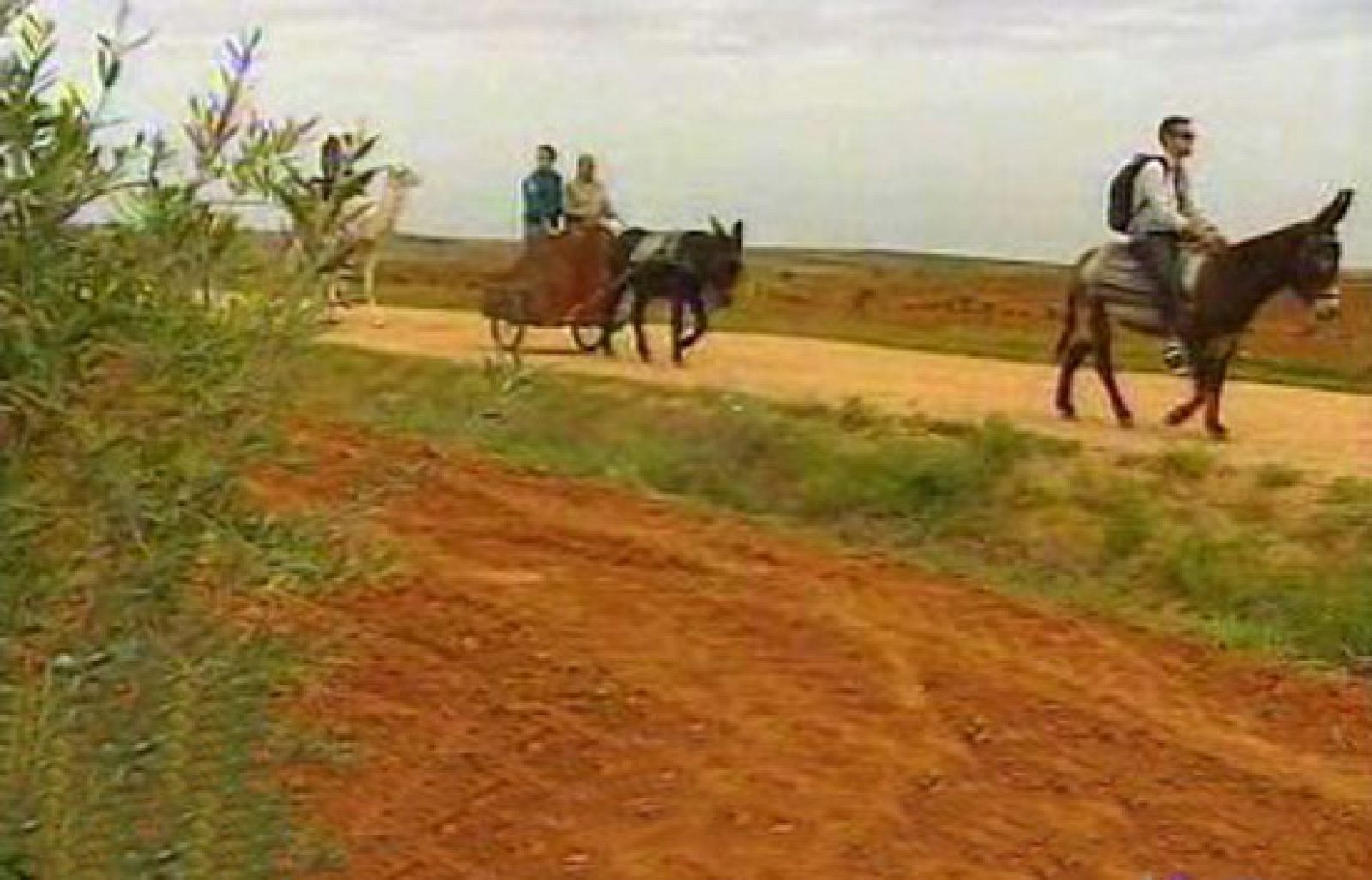 España Directo - En burro por Aceuchal | Ver