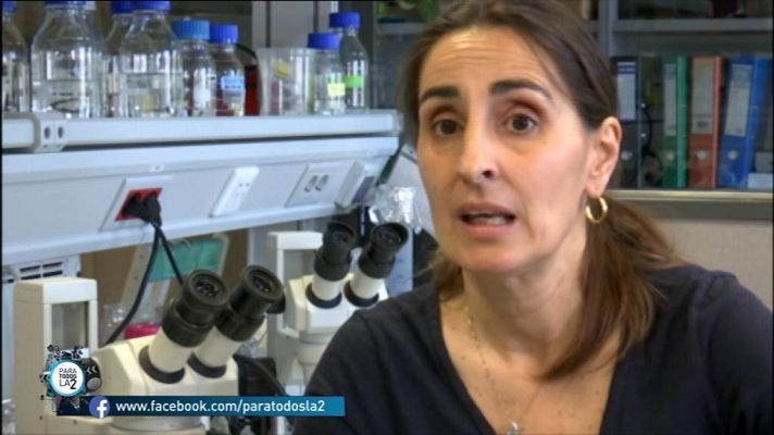 Para todos La 2 - Un gusano tiene la capacidad de biodegradar el polietileno