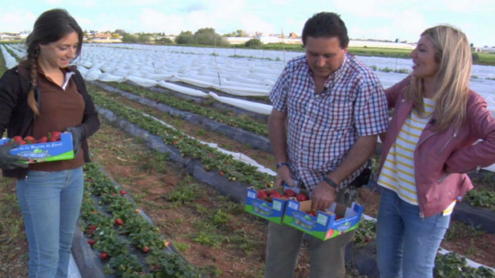 Los fresones, a subasta