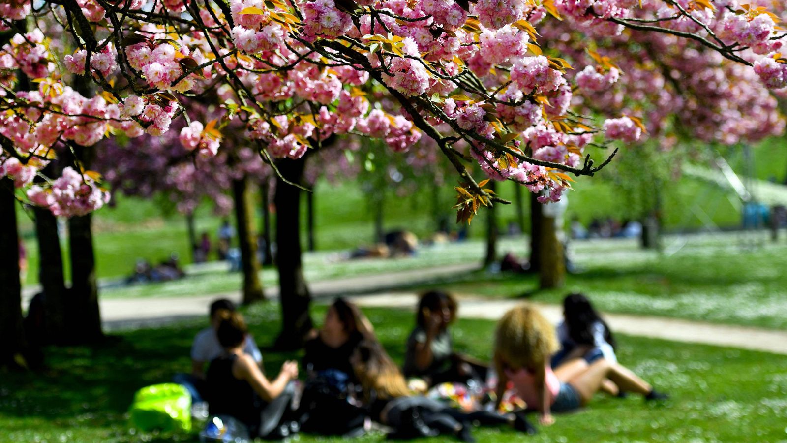 El Tiempo en la Comunidad de Madrid - 19/04/18