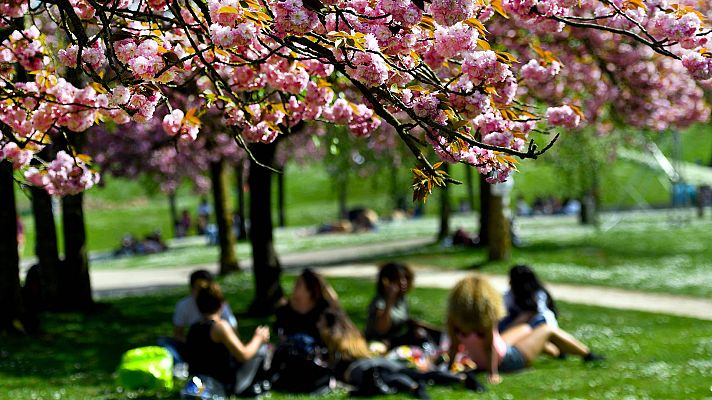 Informativo de Madrid - El Tiempo en la Comunidad de Madrid - 19/04/18