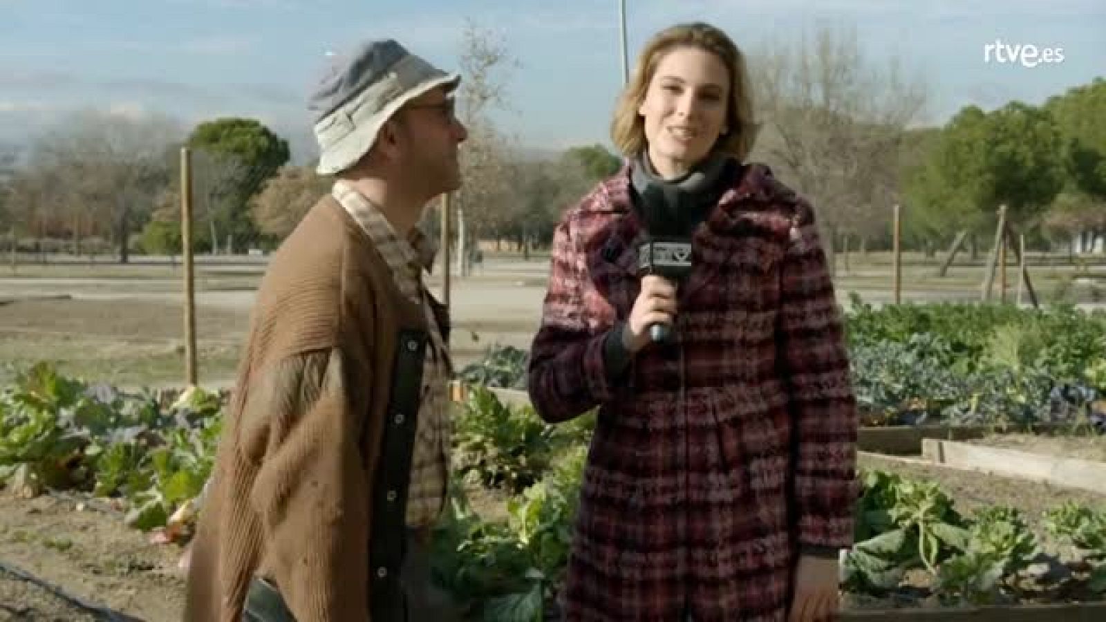 Jose Mota presenta - Germinación subrogada