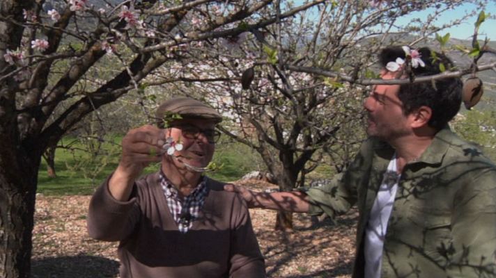 Aquí la Tierra - Entre almendrales